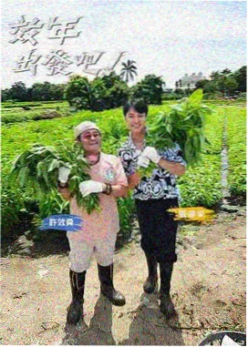 新西游记 老牛在线影院韩剧免费看